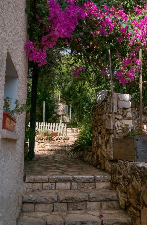 Natural Reserve Apartment Zikhron Ya'akov Exterior photo